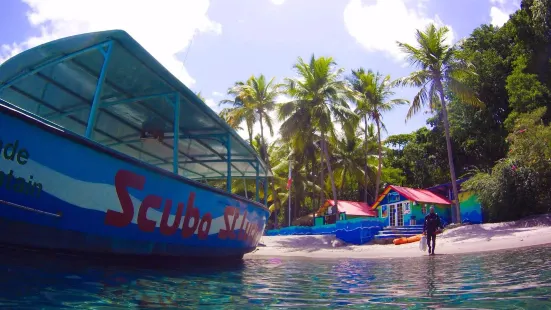 Scuba St Lucia