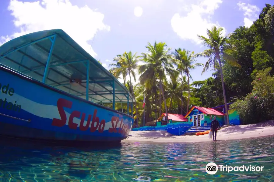 Scuba St Lucia