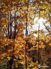 Hockley Valley Provincial Nature Reserve