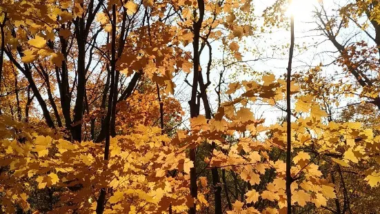 Hockley Valley Provincial Nature Reserve