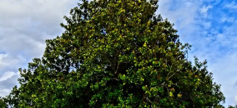 โรงแรมในโคลัมบัส