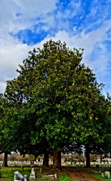 コロンバスのホテル