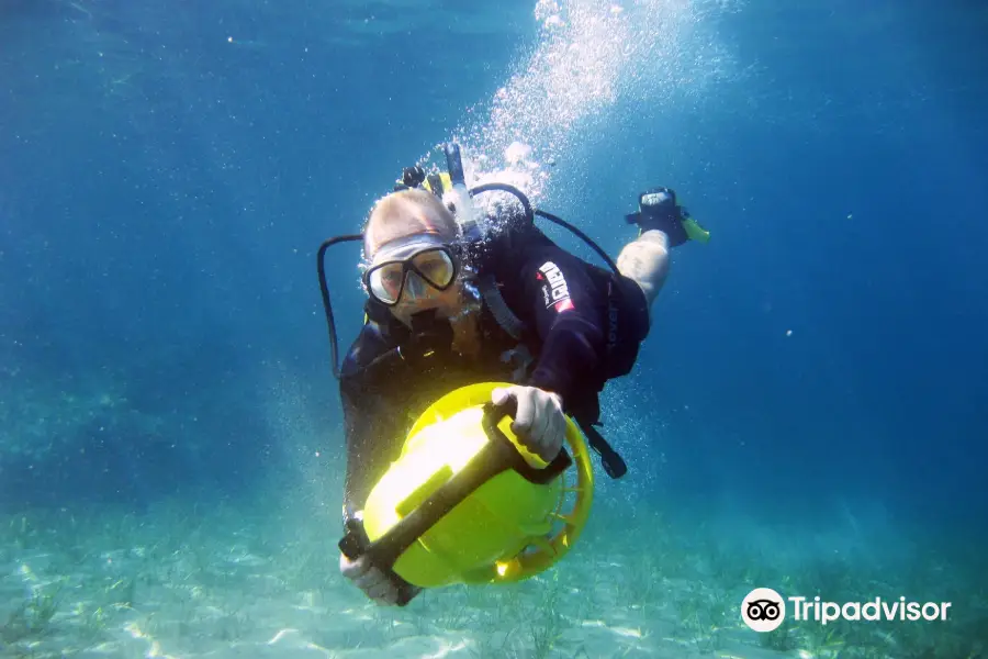 Dive-In Limassol