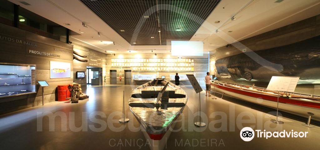 MachicoDay tours