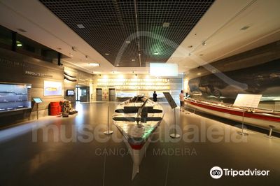 Whaling Museum of Madeira