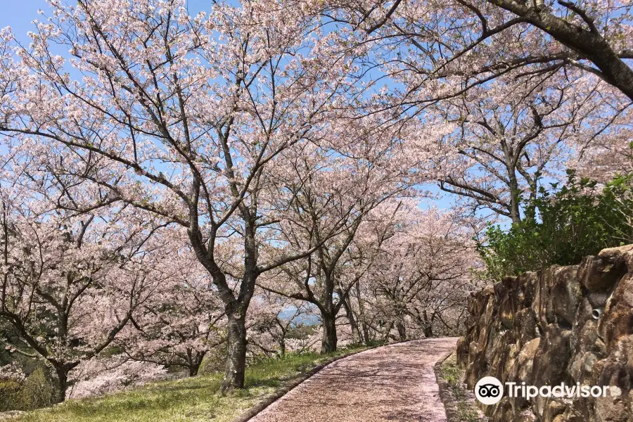 Osaki Kujakuen