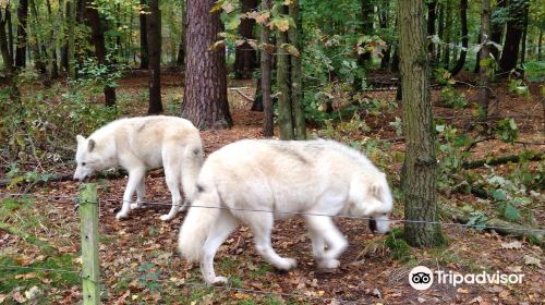 Wildpark Alte Fasanerie Klein-Auheim