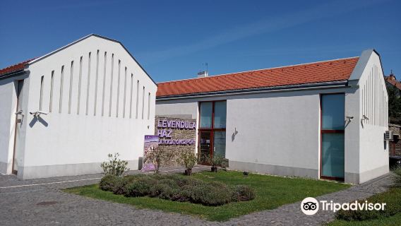 Lavender Tihany - Látványműhely • Levendula lepárló • Látványüzem