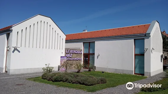 Lavender Tihany - Látványműhely • Levendula lepárló • Látványüzem