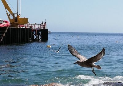 Caleta el Quisco