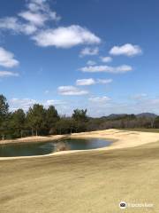 Yokawa Inter Golf Club MECHA