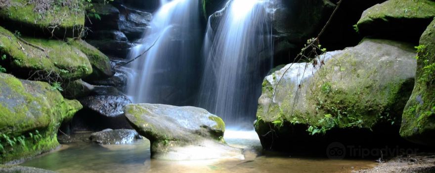 Dismals Canyon