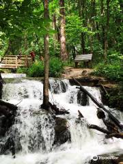 Parkville Nature Sanctuary