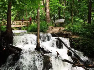 Parkville Nature Sanctuary