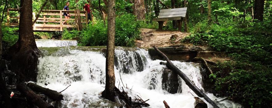 Parkville Nature Sanctuary
