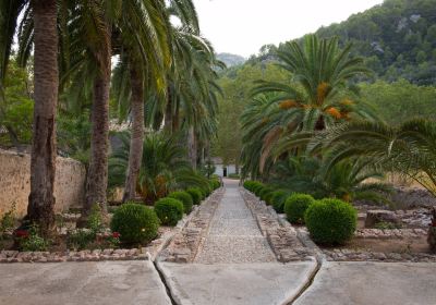 Jardins de Alfabia