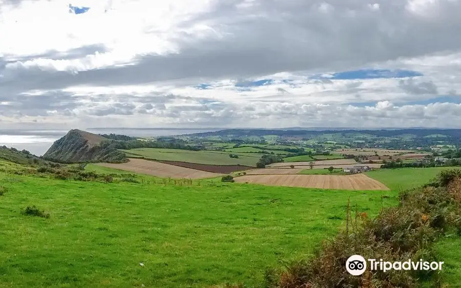 Salcombe Hill Walk