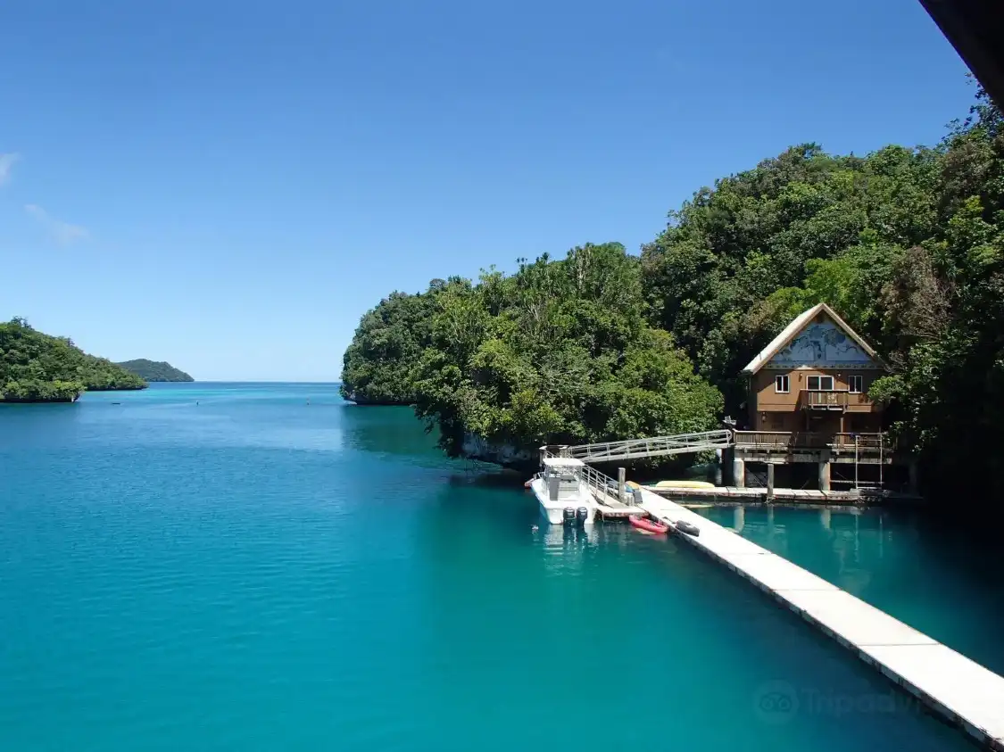 Các khách sạn gần Dolphins Pacific