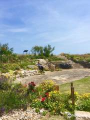 Sandown Castle Community Garden