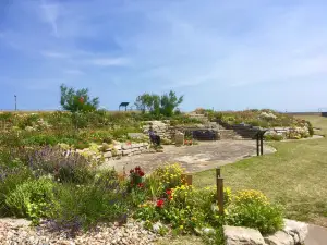 Sandown Castle Community Garden