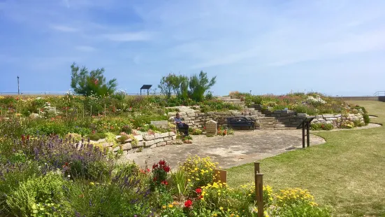 Sandown Castle Community Garden