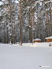 Sosnovy Bor Ski Lodge