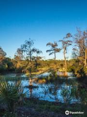 Donna Fiala Eagle Lakes Community Park Fitness Center