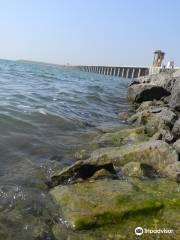 Sathnala Dam