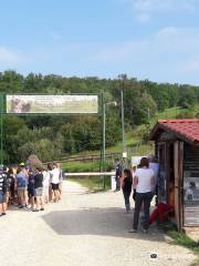 Libearty Bear Sanctuary Zarnesti