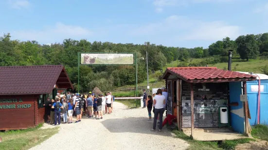 Libearty Bear Sanctuary Zarnesti