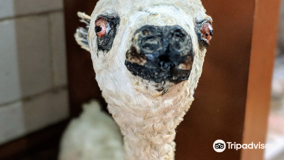 Museo Fray Enrique Mideros