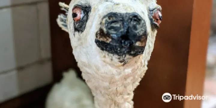 Museo Fray Enrique Mideros