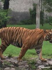 Mahendra Chaudhary Zoological Park