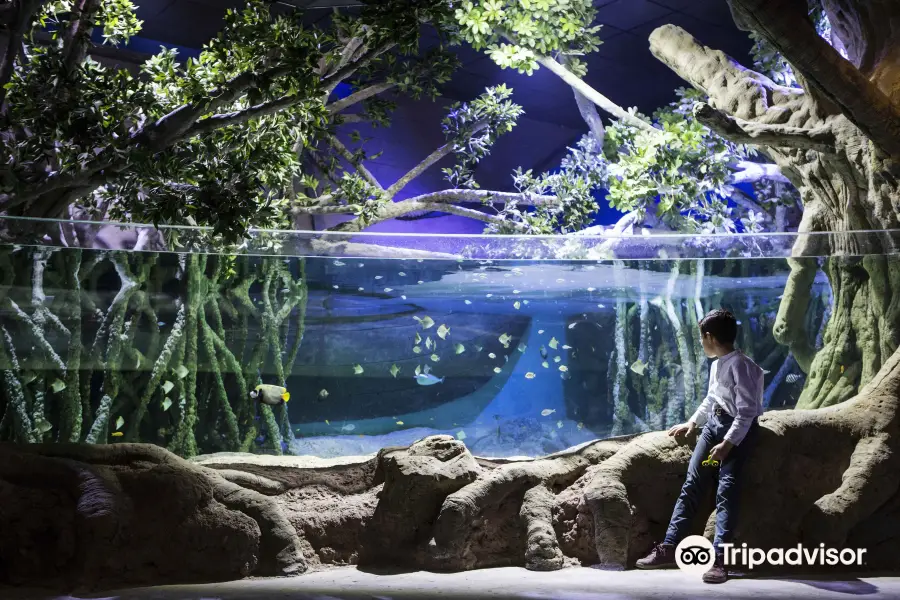 Acuario de Sevilla