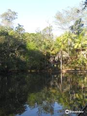 São Carlos Ecological Park