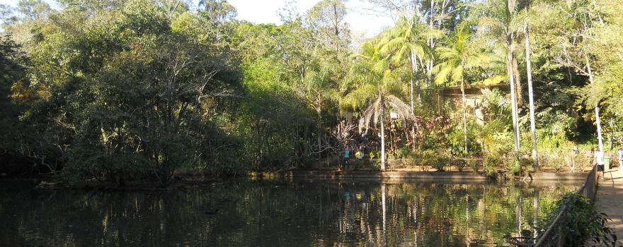 São Carlos Ecological Park