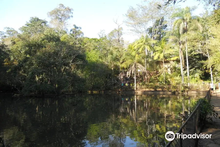 Parque Ecologico de Sao Carlos