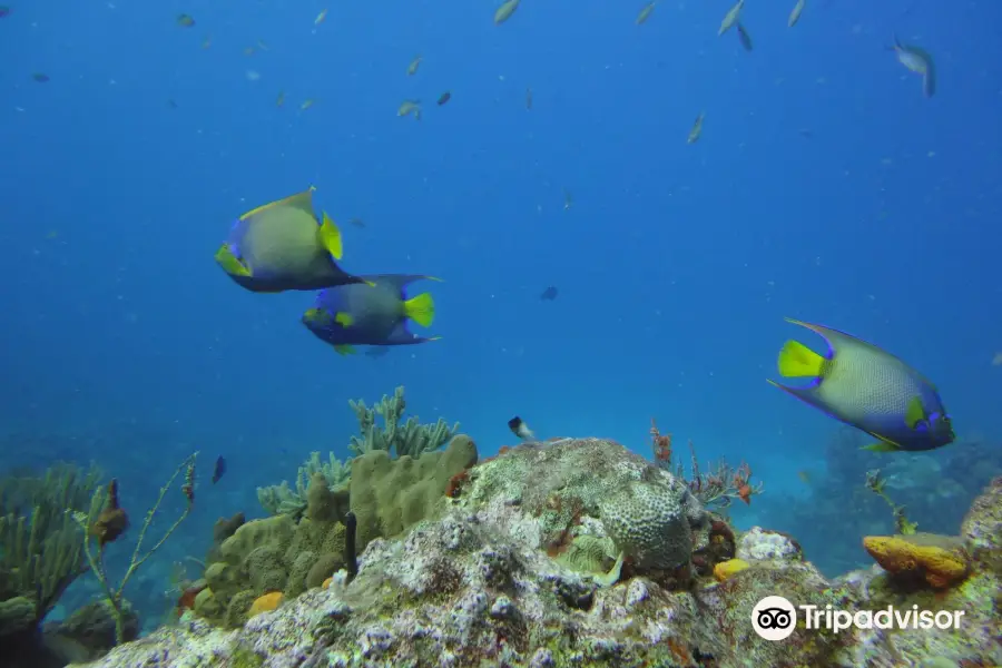 La Bulle Diving Center