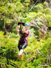 TreeTop Challenge Gold Coast - Australia's Largest Adventure Park