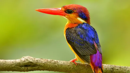 Kalametiya Lagoon Bird Sanctuary & Wetland Park