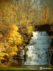 Holley Canal Falls