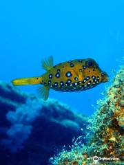 Dive Spirit Mauritius