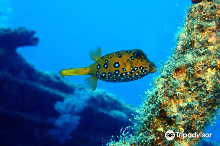 Dive Spirit Mauritius