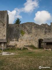 Château de Présilly