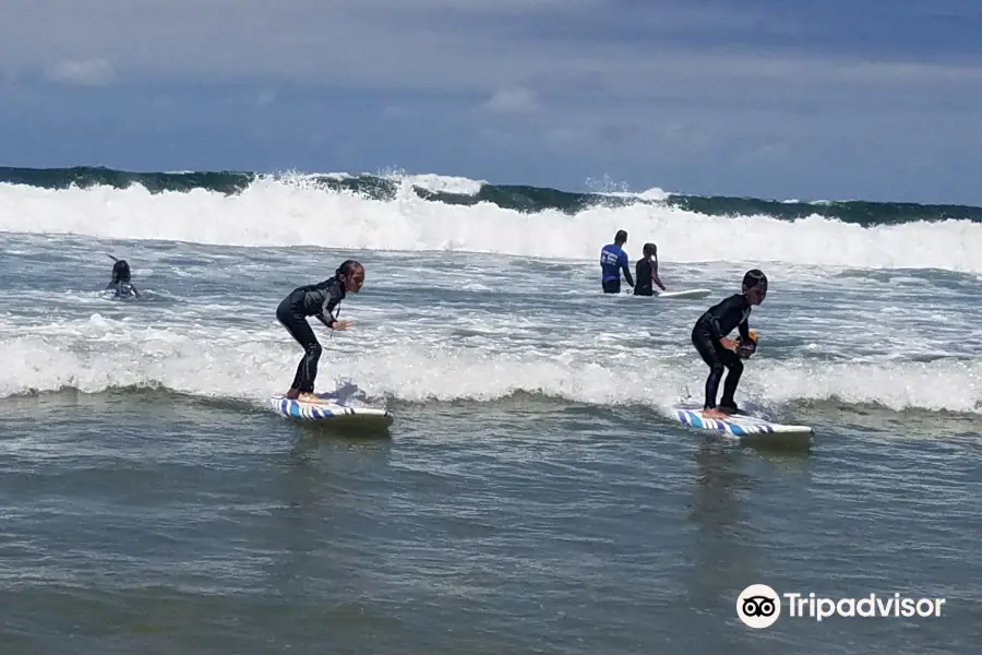 Leucadia Surf School