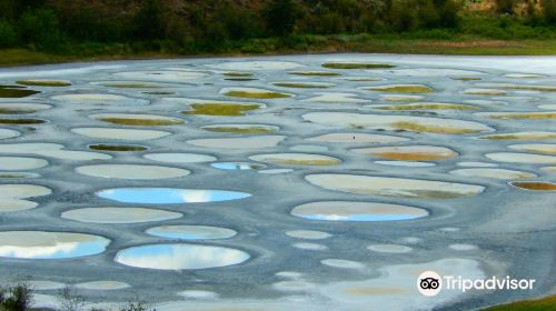 Spotted Lake