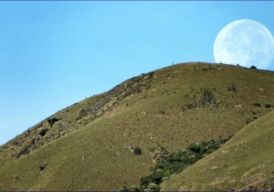 Avalanche Forest Reserve