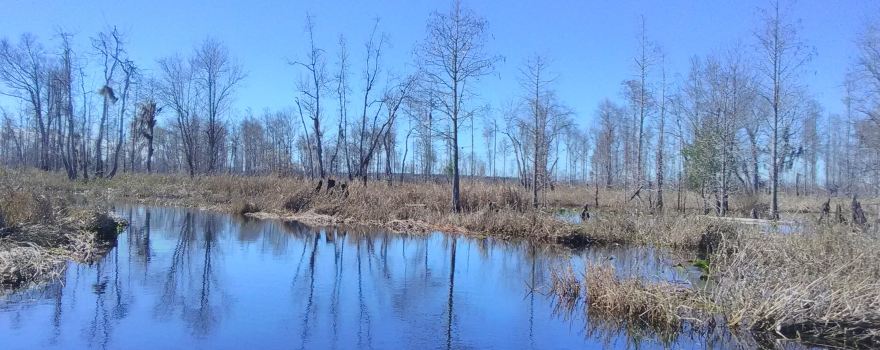 Griffis Fish Camp
