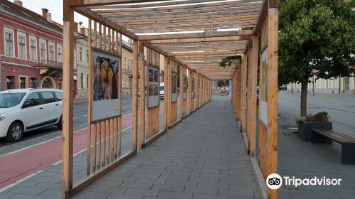 Avenue of Heroes in Cluj-Napoca (B-dul Eroilor)