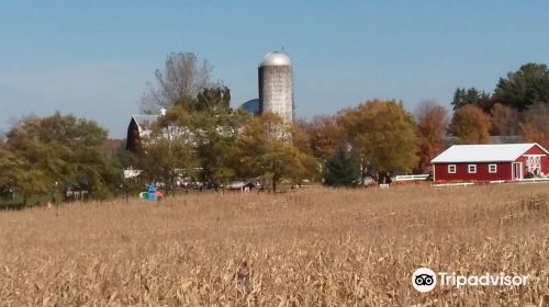 Jacob's Corn Maze